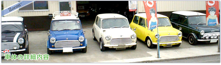 �ԑ̂̏ڍד��e