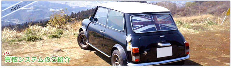 ����V�X�e���̂��Љ�