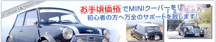 ���荠���i�Ń~�j�N�[�p�[�����S�҂̕��֖��S�̃T�|�[�g��v���܂��I